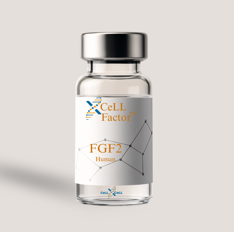 XCeLL Factor™ FGF2